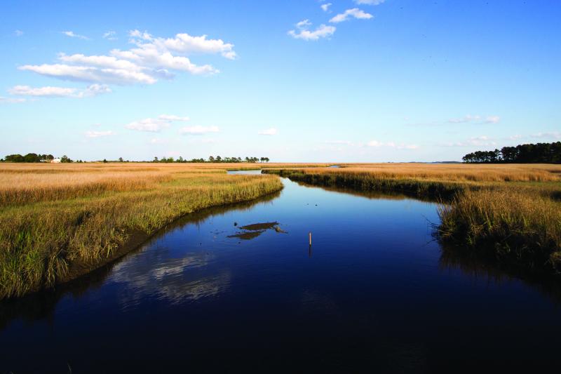 Partnering to Enhance the Chesapeake Bay and its Dependent Businesses