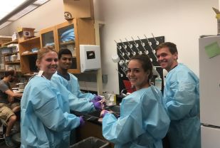 UVA Partners with Industry on Tissue Engineering