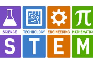 Integrating STEM in Early Education