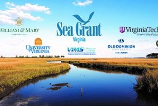 Virginia Sea Grant Awarded GO Virginia Funding