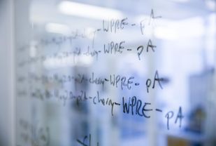 UVA Creates Seed Funding Program for New Ideas